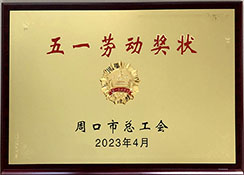 遠(yuǎn)大锅炉被授予五一劳动奖状